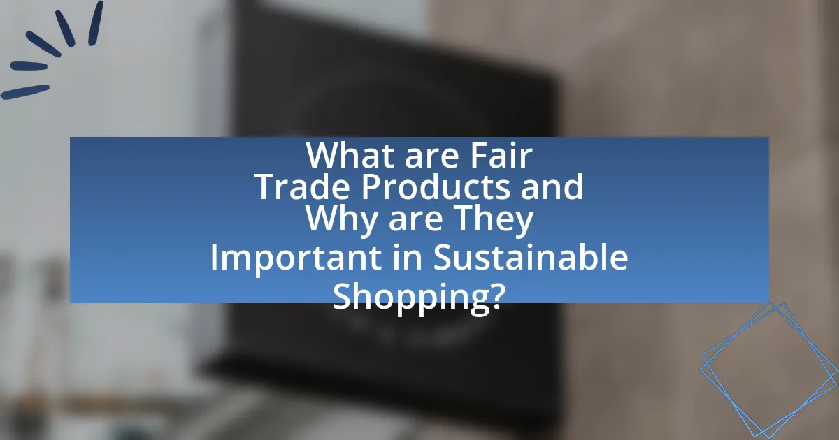 What are Fair Trade Products and Why are They Important in Sustainable Shopping?