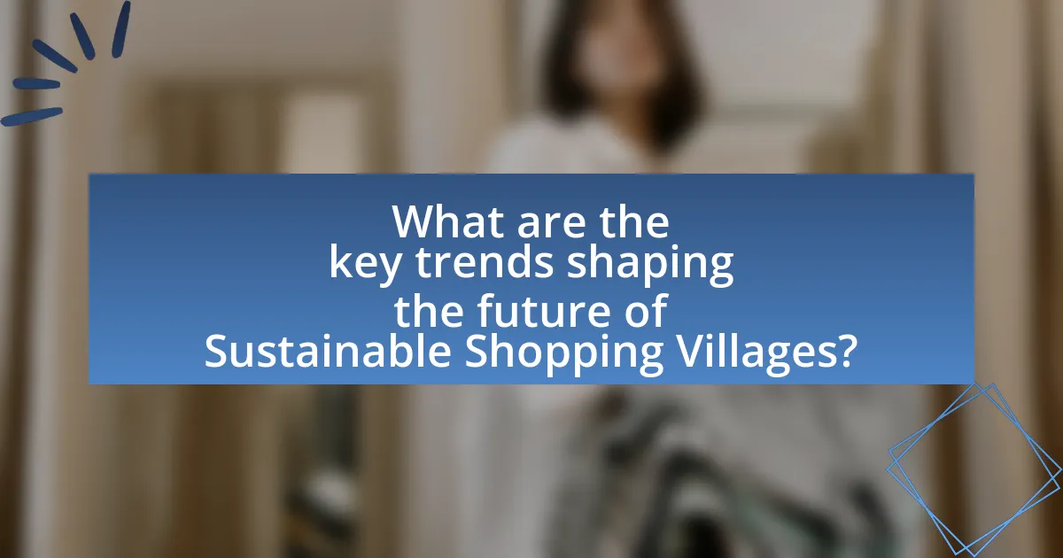 What are the key trends shaping the future of Sustainable Shopping Villages?